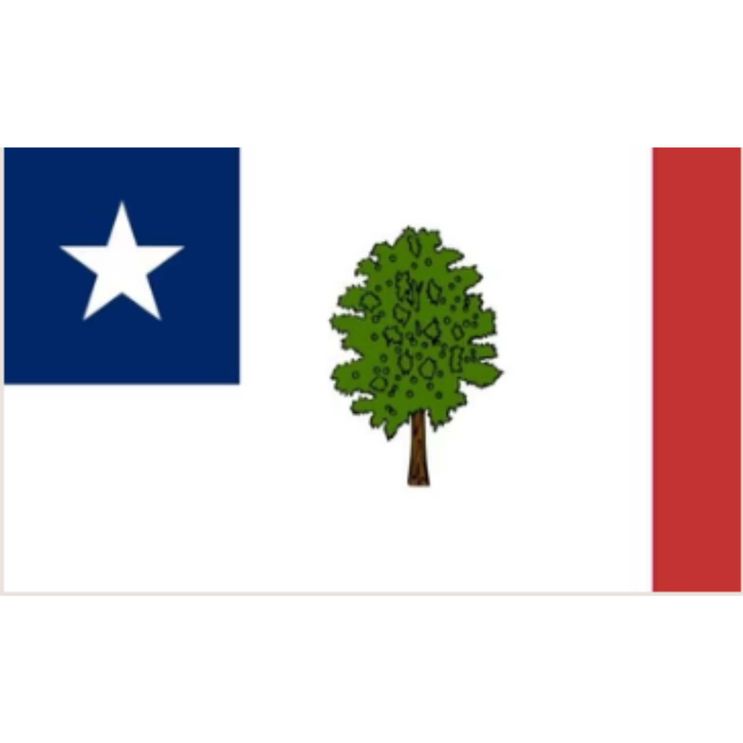 Mississippi 1861 Secession Flag