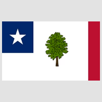 Mississippi 1861 Secession Flag